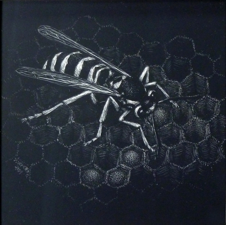 Scratchboard Bug Yellow Jacket Wasp, Original Scratchboard Drawing, Insect, Art, Desert ...