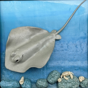 Turquoise stingray, polymer clay, undersea, sealife, wildlife, realistic, fantasy, crabs