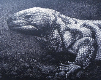 Gila Monster Zeichnung: Original Wildtier Eidechse (13x18)