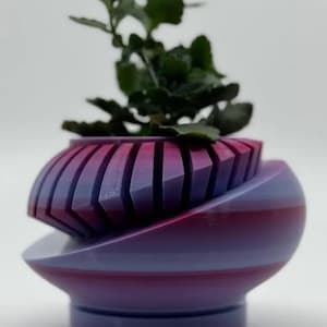 May include: A purple and pink striped planter with a geometric design. A small green plant is growing in the planter.