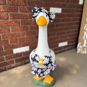 Itsy Bitsy Teenie Weenie Porch Goose Bikini