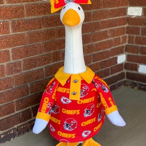 Custom Team Shirt Dress for large porch goose!