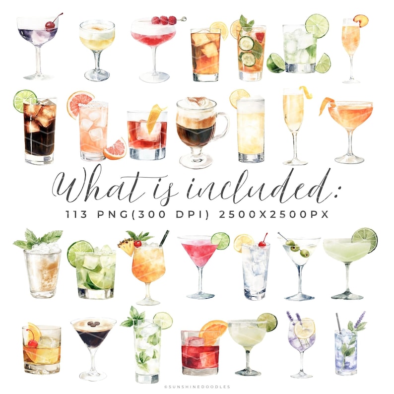 May include: Watercolor illustration of various cocktails, including martinis, margaritas, and highballs, with garnishes like cherries, olives, and citrus fruits. The text "What is included" is displayed below the cocktails.