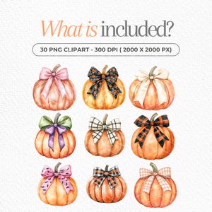 May include: Set of 30 digital clipart images of pumpkins with different colored bows. The pumpkins are orange and the bows are pink, purple, white, black, and plaid. The images are 300 DPI and 2000 x 2000 pixels.