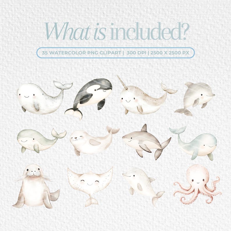 K&ouml;nnte beinhalten: Ein Set mit 35 Aquarell-Illustrationen von Meerestieren, darunter ein Narwal, eine Robbe, ein Hai, ein Rochen, ein Tintenfisch und ein Delfin. Die Illustrationen sind in einer weichen, gedeckten Farbpalette gehalten und perfekt, um Ihren Designs einen Hauch von Verspieltheit zu verleihen.