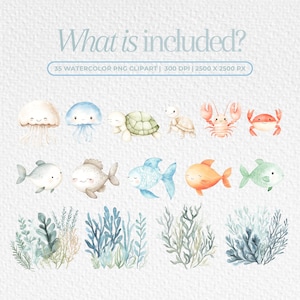 K&ouml;nnte beinhalten: Ein Set mit 35 Aquarell-PNG-Clipart-Bildern mit verschiedenen Meeresbewohnern, darunter Quallen, Schildkr&ouml;ten, Krabben und Fische. Die Bilder sind im Cartoon-Stil gehalten und eignen sich perfekt f&uuml;r den Einsatz in digitalem Scrapbooking, Kartenherstellung und anderen kreativen Projekten.