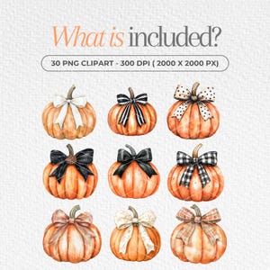 May include: Set of 30 digital clipart images of pumpkins with different colored bows. The pumpkins are orange and the bows are black and white, white and brown, and orange and brown. The images are 300 DPI and 2000 x 2000 pixels.