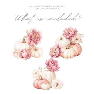 May include: Watercolor illustration featuring white and peach pumpkins with pink peony flowers and the text "What is included?" on a white background. The image is labeled "Unlimited Commercial Use" and "300 DPI 2000x2000".