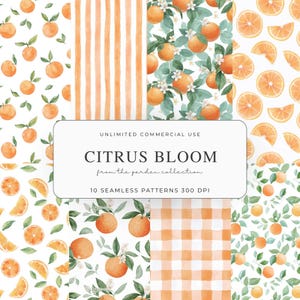 Puede incluir: Una colección de diez patrones sin costuras con ilustraciones de acuarela de naranjas, rodajas de naranja y flores de naranjo. Los patrones incluyen rayas, cuadros y diseños botánicos. El texto dice "CITRUS BLOOM" y "10 SEAMLESS PATTERNS 300 DPI".