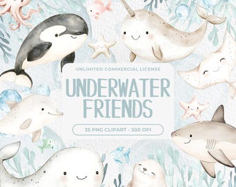 Cute Undersea Watercolor Clipart, Sea life Clipart Bundle, Cute Ocean Animals Clipart, Ocean Animals Nursery Decor, Undersea PNG, Ocean PNG