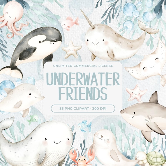 Cute Undersea Watercolor Clipart, Sea life Clipart Bundle, Cute Ocean Animals Clipart, Ocean Animals Nursery Decor, Undersea PNG, Ocean PNG