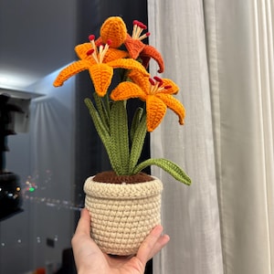 Könnte beinhalten: Eine gehäkelte orangefarbene Lilienpflanze in einem cremefarbenen gehäkelten Topf. Die Pflanze steht auf einer Hand.