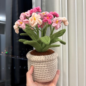 Custom Daisy Bouquet, Crochet Daisy in Pot, Knitted Daisy Amigurumi, Flower Decor for Desktop, Table, Crochet Pink Flower, Gift For Mom