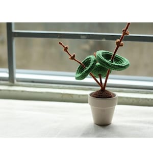 CRASSULA UMBELLA w doniczce, szydełkowy mini koszyczek na drzewko, roślina Pilea w doniczce, szydełkowy kwiat na dekorację biurka, prezent dla współpracownika na dekorację biura