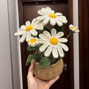 Custom Daisy Bouquet, Crochet Daisy in Pot, Knitted Daisy Amigurumi, Flower Decor for Desktop, Table, Christmas Gifts for her, Mom