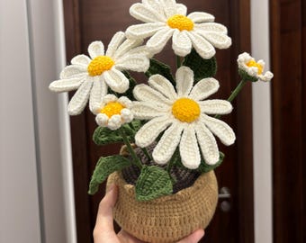 Custom Daisy Bouquet, Crochet Daisy in Pot, Knitted Daisy Amigurumi, Flower Decor for Desktop, Table, Christmas Gifts for her, Mom