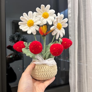 Crochet Flower in Pot, Crochet Daisy, Strawberry, Mother&#39;s Day Gifts, Birthday Gifts, Knit flower, Gift for Her, Gift For Mom, Desk Decor