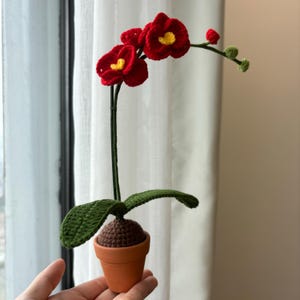 May include: A crocheted orchid plant with red and yellow flowers in a brown pot. The plant has green leaves and is sitting on a hand.