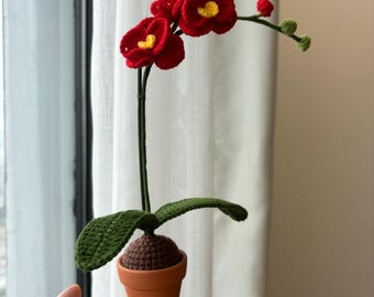 May include: A crocheted orchid plant with red and yellow flowers in a brown pot. The plant has green leaves and is sitting on a hand.
