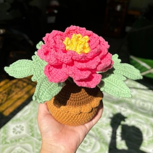 Custom Daisy Bouquet, Crochet Daisy in Pot, Knitted Daisy Amigurumi, Pink Flower Decor for Desktop, Table, Crochet Pink Flower