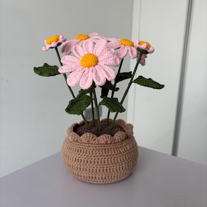 Custom Daisy Bouquet, Crochet Pink Daisy in Pot, Knitted Daisy Amigurumi, Pink Flower Decor for Desktop, Table, Christmas Gifts for her, Mom