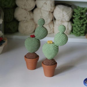 Cactus Handmade Pot, Opuntia Microdasys Crochet, Succulents-Potted Crochet, Farmhouse Decor, Mini Succulent In The Pot, Desktop Decor
