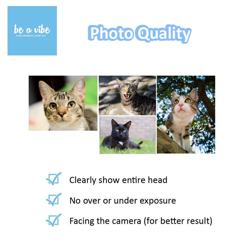 Photo quality asking people to send a good photo for custom and personalised keychain for their dog and cat