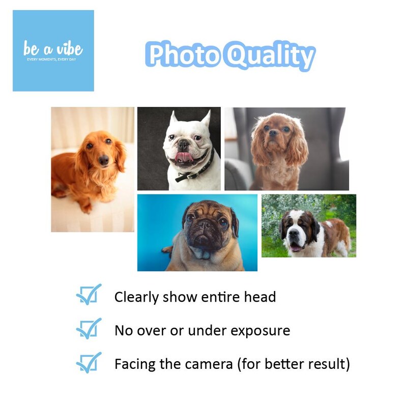 May include: A collage of four photographs showing different dog breeds. The photos are used to illustrate the guidelines for taking high-quality photographs of dogs for a website or social media. The guidelines include: clearly show the entire head, no over or under exposure, and facing the camera.