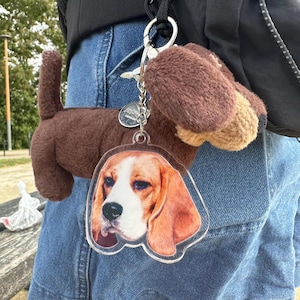 May include: A brown plush dog keyring with a clear plastic charm featuring a beagle dog's face. The charm is attached to a silver chain and a silver key ring.