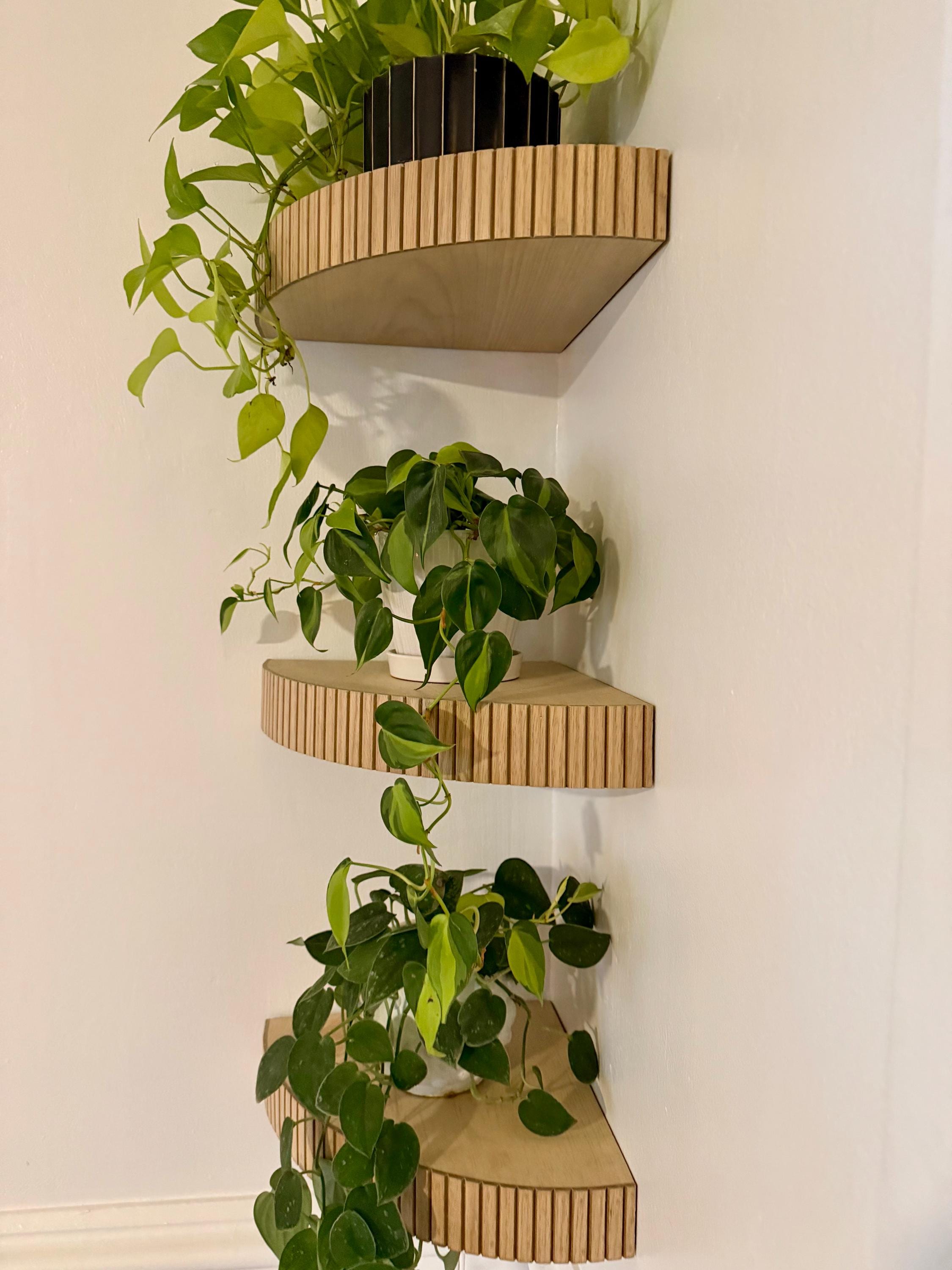 Flua Shelf Floating Fluted Corner Shelf (large) - Etsy
