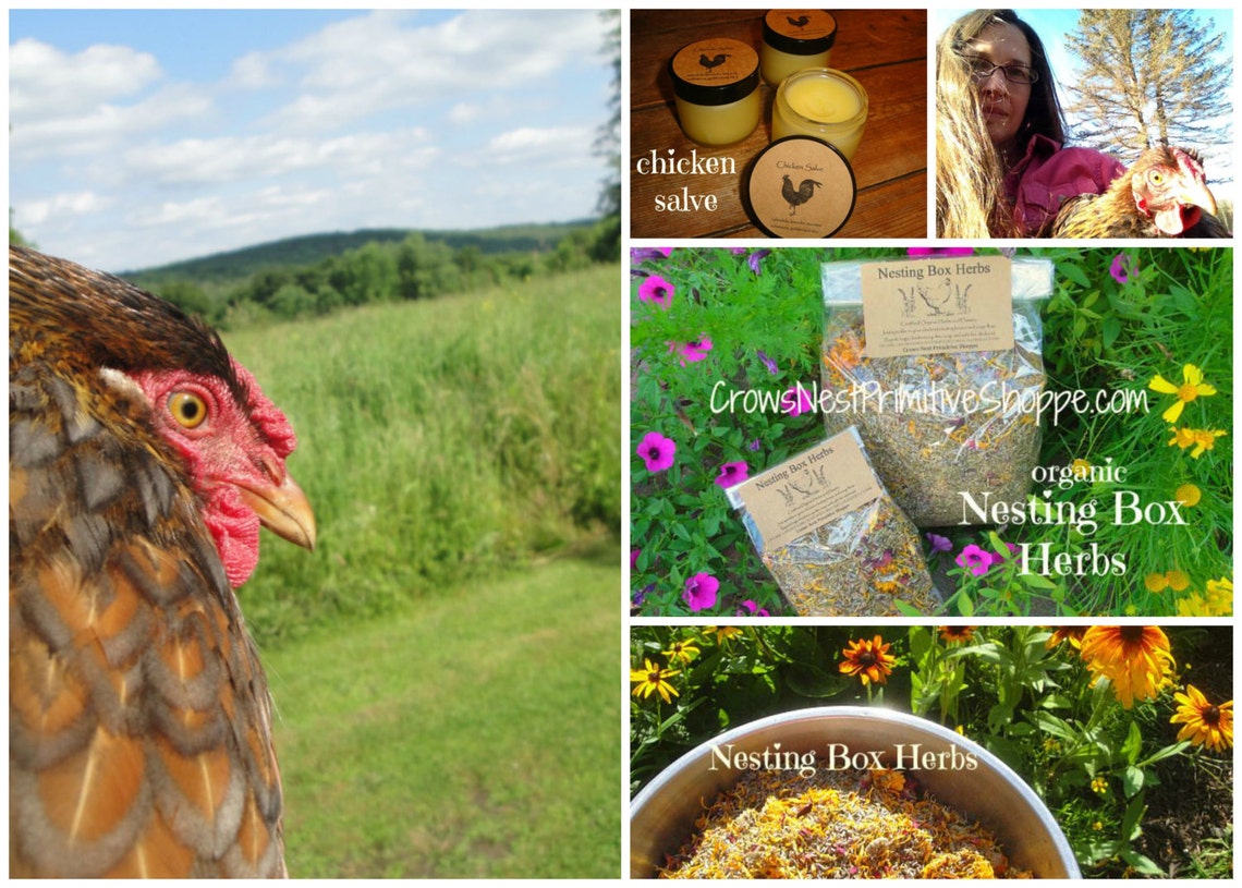 All Natural Chicken Coop Insect Repellent Made With Pure Etsy