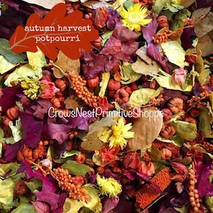 Autumn Harvest Potpourri Scented Your Choice Popular Fall Fragrance Blend of Colored Pods, Spices and Berries. Beautiful Country Primitive