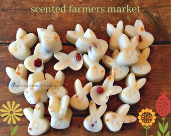 Bulk Scented Soy Bunny Shaped Melts with Farmers Market Fruity Fragrance~ 24 Mini Sized Bunny Shaped Soy Wax Melting Tarts & FREE SHIPPING!