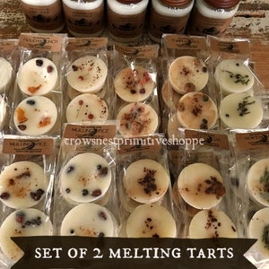 Natural Soy Melting Tarts- SET of 2 melting tarts made of soy wax, spices, berries, greens or fruit in variety of scents ~ 2 ounce size each