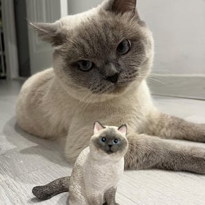K&ouml;nnte beinhalten: Eine grau-wei&szlig;e Katze mit blauen Augen liegt auf einem hellen Holzboden. Eine kleinere grau-wei&szlig;e Katzenfigur sitzt vor der gr&ouml;&szlig;eren Katze.