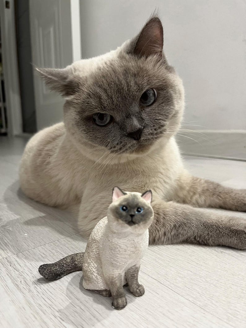 K&ouml;nnte beinhalten: Eine grau-wei&szlig;e Katze mit blauen Augen liegt auf einem hellen Holzboden. Eine kleinere grau-wei&szlig;e Katzenfigur sitzt vor der gr&ouml;&szlig;eren Katze.