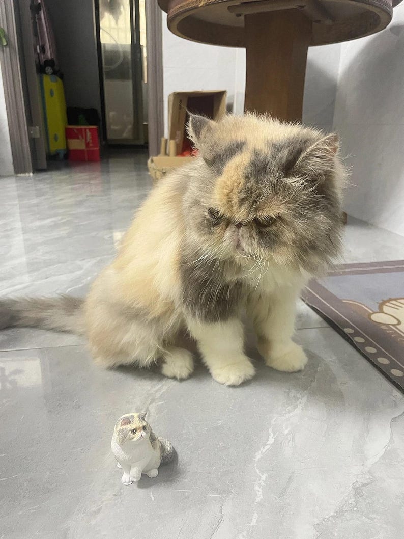 K&ouml;nnte beinhalten: Eine flauschige, dreifarbige Katze mit flachem Gesicht sitzt auf einem gefliesten Boden. Eine kleinere, wei&szlig;e und graue Katzenfigur sitzt vor der gr&ouml;&szlig;eren Katze.