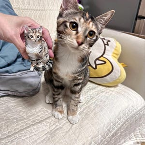 K&ouml;nnte beinhalten: Eine braune, wei&szlig;e und orange getigerte Katze sitzt auf einem wei&szlig;en Sofa. Eine kleinere, braune, wei&szlig;e und orange getigerte Katzenfigur wird in der Hand einer Person gehalten.