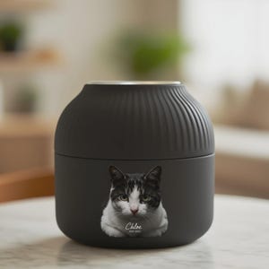 以下が含まれることがあります： 銀色の縁と猫の写真が付いた黒いペット用骨壺。猫は白と黒で、緑色の目をしています。「Chloe」という名前と「2012-2023」の年号が印刷されています。