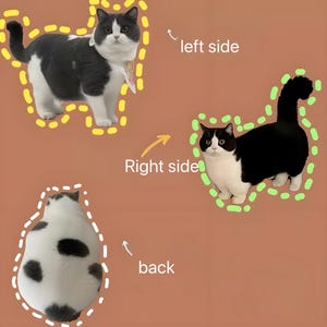 K&ouml;nnte beinhalten: Drei schwarz-wei&szlig;e Katzen werden in verschiedenen Posen gezeigt. Die Katze links steht mit dem Schwanz um den K&ouml;rper gewickelt. Die Katze rechts steht mit dem Schwanz gerade nach oben in der Luft. Die Katze unten sitzt mit dem R&uuml;cken zur Kamera. Die Katzen sind alle mit einer gestrichelten Linie umrandet und Pfeile zeigen auf die linke, rechte und hintere Seite der Katzen.