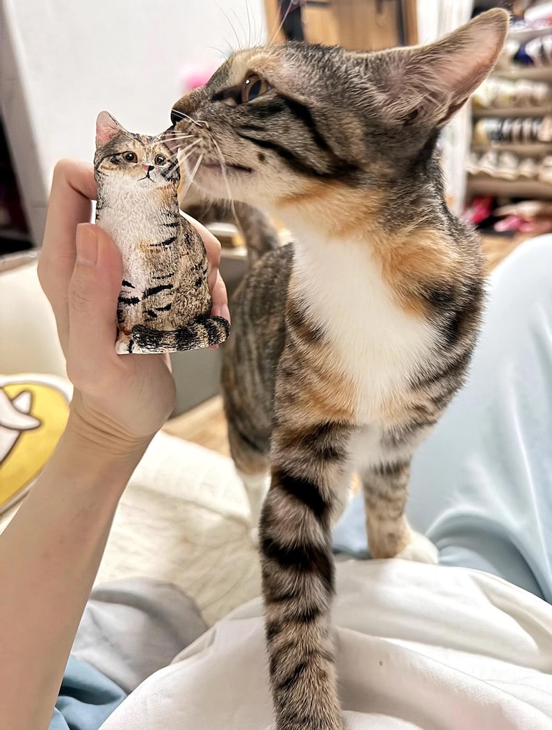 K&ouml;nnte beinhalten: Eine braune, wei&szlig;e und orange getigerte Katze mit gr&uuml;nen Augen schaut auf eine kleine, braune, wei&szlig;e und orange getigerte Katzenfigur. Die Figur wird in der Hand einer Person gehalten.