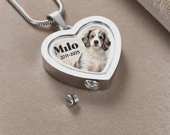 Personligt halsband med hjärtfoto för hund, urna för aska, minnessak för förlust av husdjur, hänge med hårpäls, gåva för sympati med husdjur