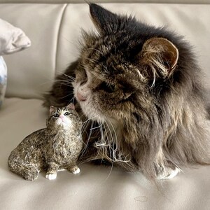 K&ouml;nnte beinhalten: Eine gro&szlig;e, flauschige braune und wei&szlig;e Katze mit langem Fell schaut auf eine kleinere, braune und wei&szlig;e Katzenfigur. Beide Katzen sitzen auf einem wei&szlig;en Sofa.