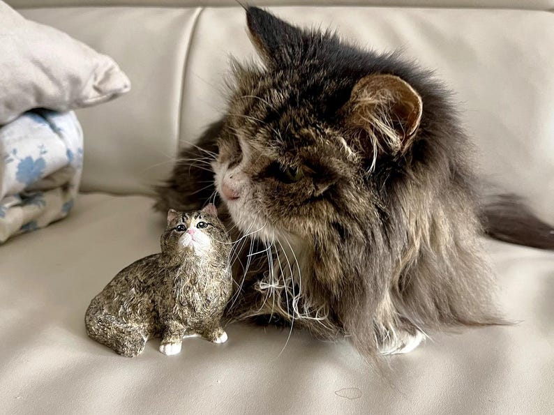 K&ouml;nnte beinhalten: Eine gro&szlig;e, flauschige braune und wei&szlig;e Katze mit langem Fell schaut auf eine kleinere, braune und wei&szlig;e Katzenfigur. Beide Katzen sitzen auf einem wei&szlig;en Sofa.