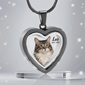Op de afbeelding: Een hartvormige hangerketting met een zwarte afwerking. De hanger heeft een foto van een kat met de naam "Leo" en de jaren "2011-2025". De ketting wordt gepresenteerd op een transparante standaard.