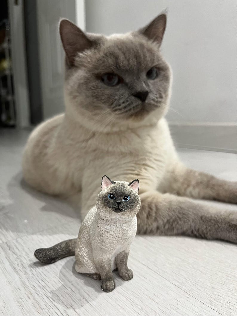 K&ouml;nnte beinhalten: Eine grau-wei&szlig;e Katze sitzt auf einem wei&szlig;en Holzboden. Eine gr&ouml;&szlig;ere grau-wei&szlig;e Katze liegt im Hintergrund.