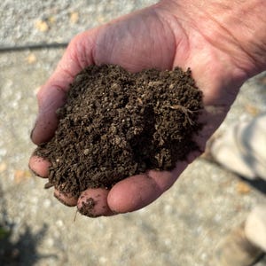 Solo para vasos ideal (2 gal) com material compostado para sementes