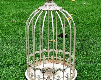 Puede incluir: Una jaula para pájaros de metal blanco envejecido con una base decorativa y un remate superior. La jaula tiene barras verticales y una base circular, colocada sobre hierba verde. Ideal para la decoración de jardines.