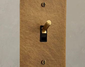 May include: A brass light switch plate with a black toggle switch and a gold lever. The plate has a textured surface and two screws.