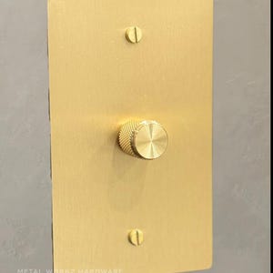 May include: A gold-coloured dimmer switch with a round knob. The switch is mounted on a wall and has two small screws on either side.
